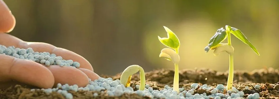 কৃষকের বিশ্বস্ত বন্ধু, ফসলের নিরাপদ সুরক্ষা
